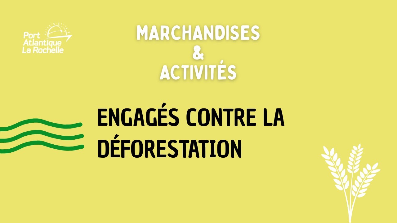 Engagés contre la déforestation