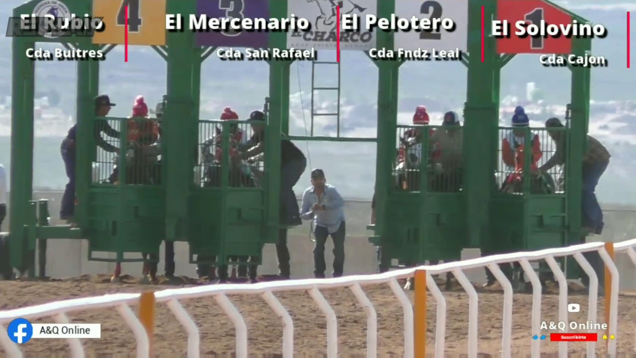 Mercenario vs Solovino vs Pelotero vs Rubio 15/03/26 en Taste Charco