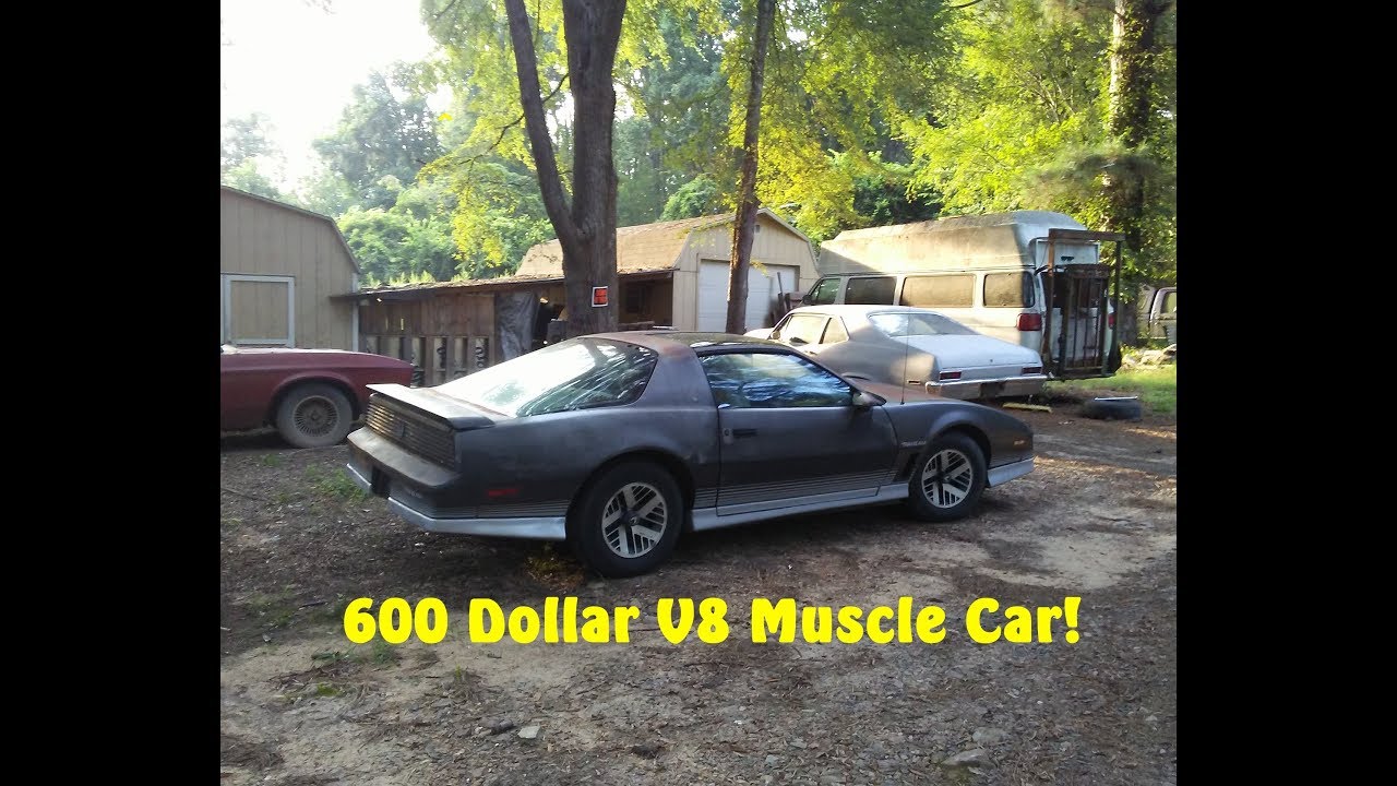 $600 TransAm Project!