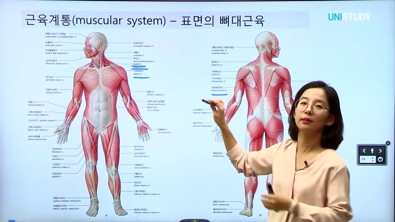 [유니스터디] 박유현 교수님의 인체해부학 핵심정리, 2강 해부학 총론 Part 2