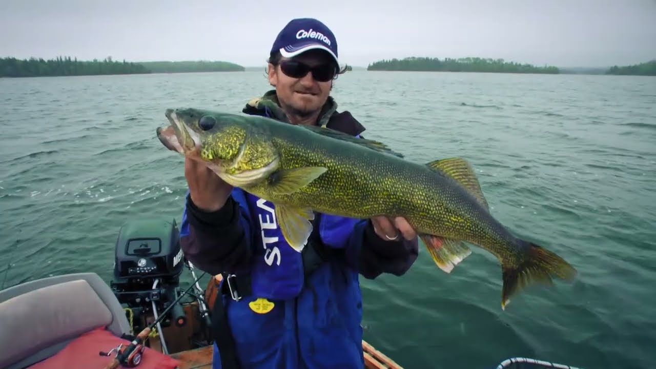 Algoma Country Walleye Fishing