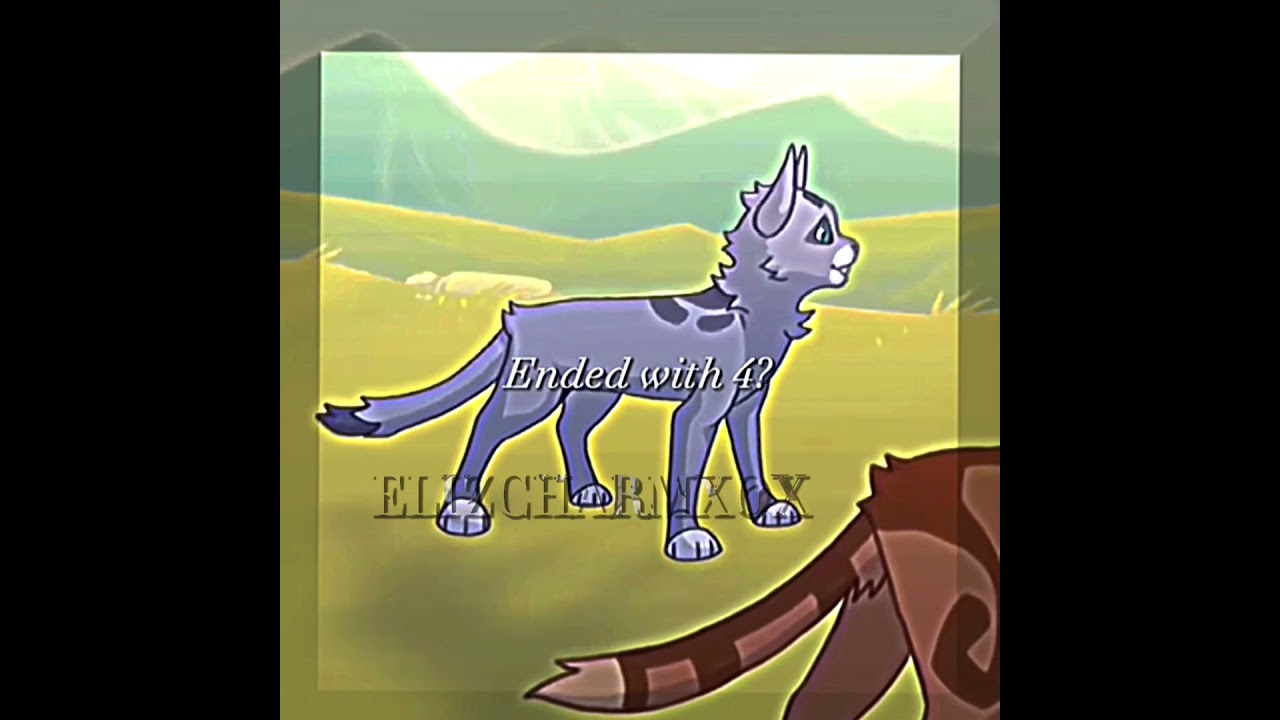&ldquo;Warrior cats are for kids.&rdquo; You sure abt that? #warriorcats #warrior #edit #cats