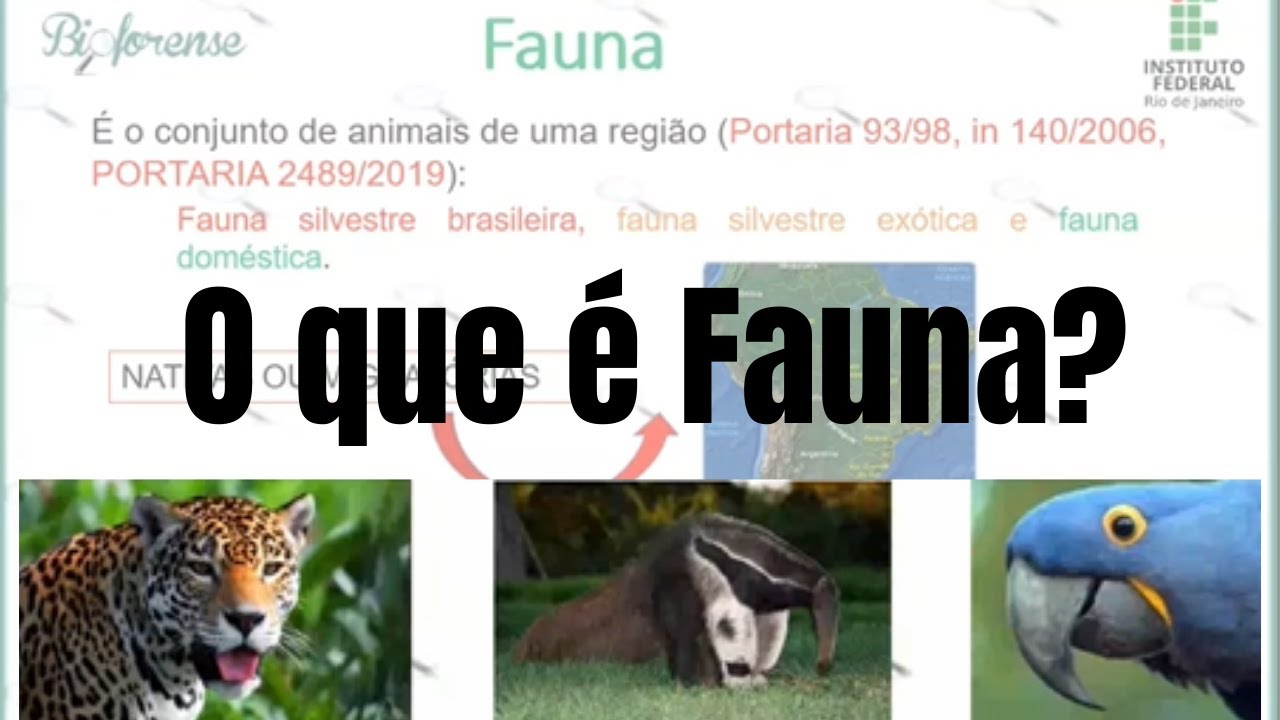 Live Aula sobre Zoologia Forense  (Drª Janyra Oliveira-Costa)