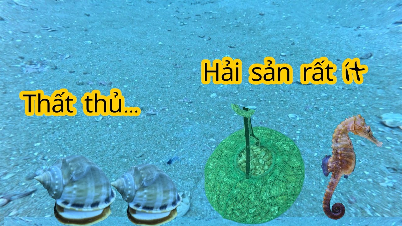 Hôm nay lăn biển rất ít,biển hơi động hải sản trốn hết rồi