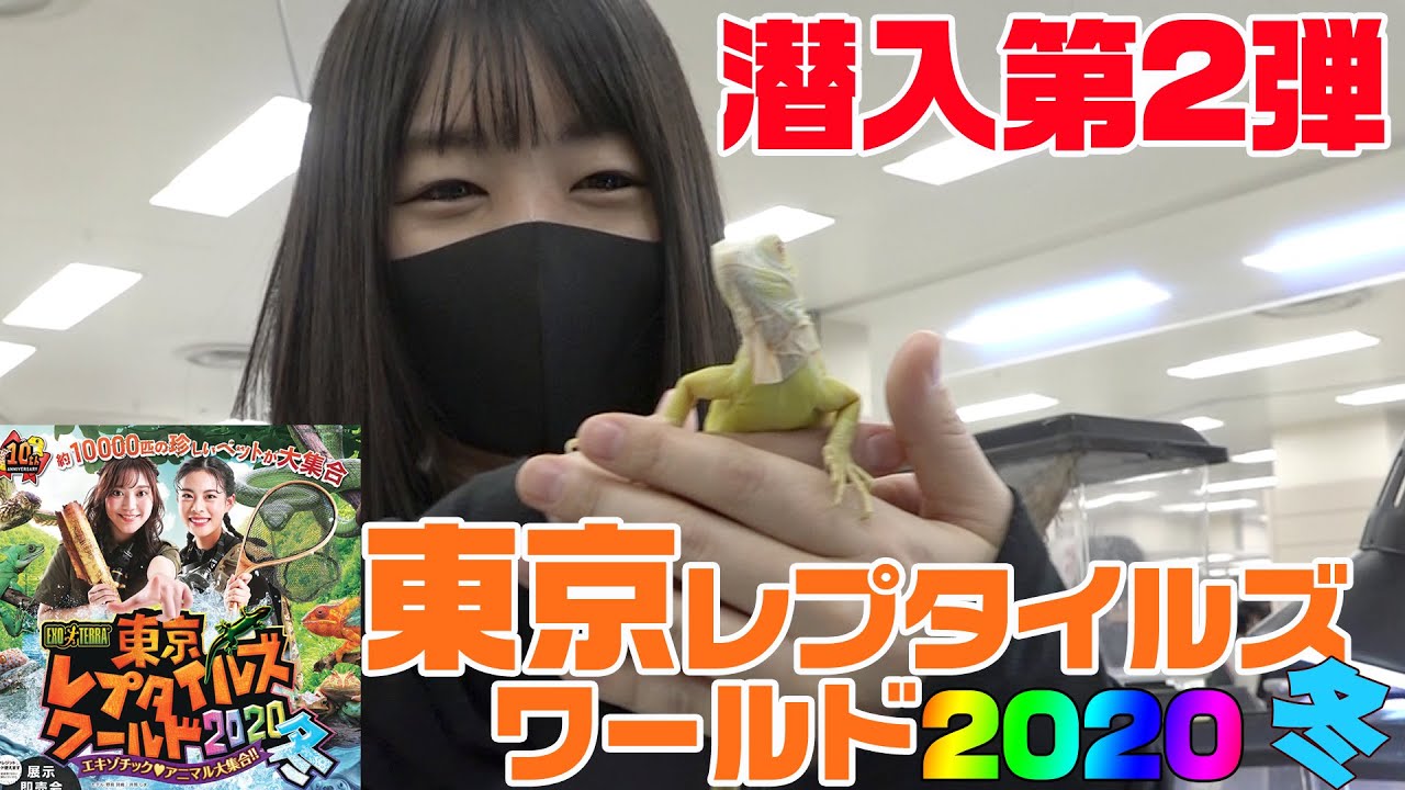 【東京レプタイルズワールド2020冬】～日本最大級の規模を誇る爬虫類イベント～東レプ潜入レポート第2弾！