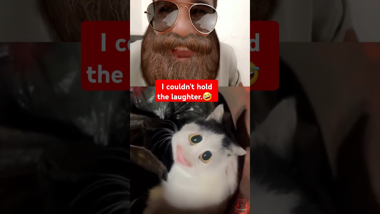 متت بهي اللقطة 🤣🤣🔥 #duet #trynottolaughchallengereaction #arabreaction