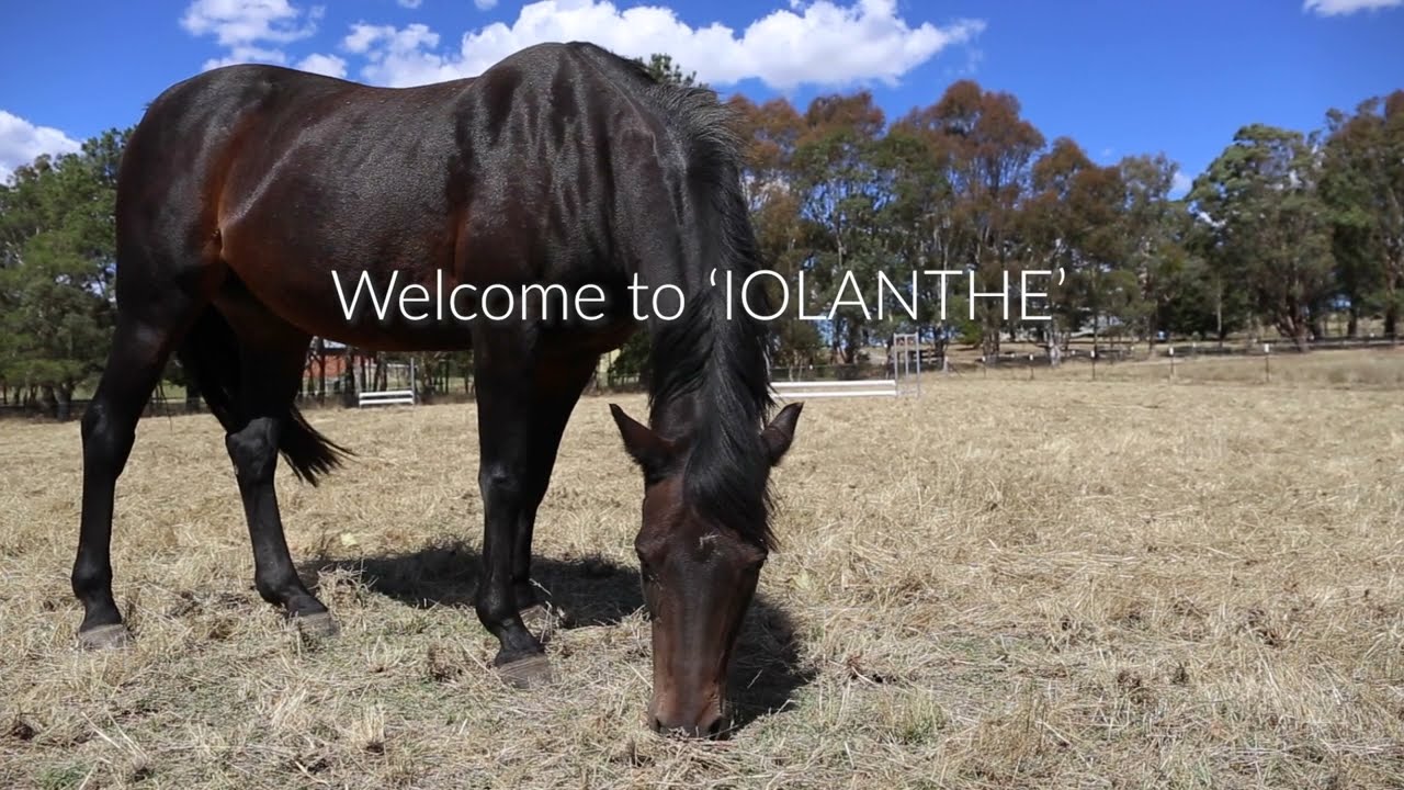 Elders Murrumbateman | 209 Glengyle Road, Nanima NSW