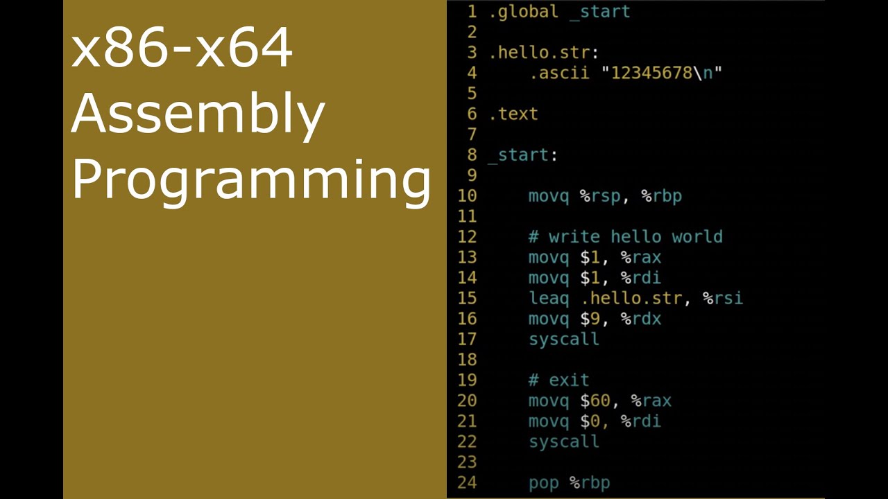 x86-64 Assembly (ASM) 7 — Вход