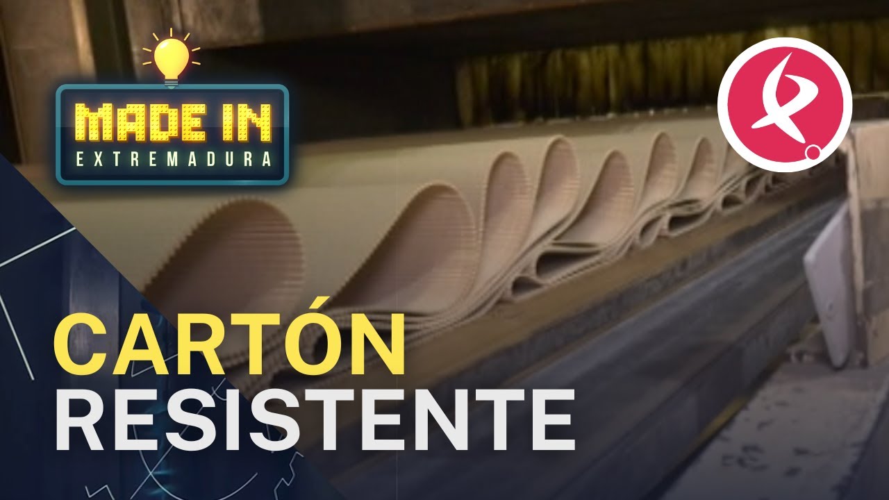 ¿Cómo se fabrican las cajas de cartón? | Made in Extremadura