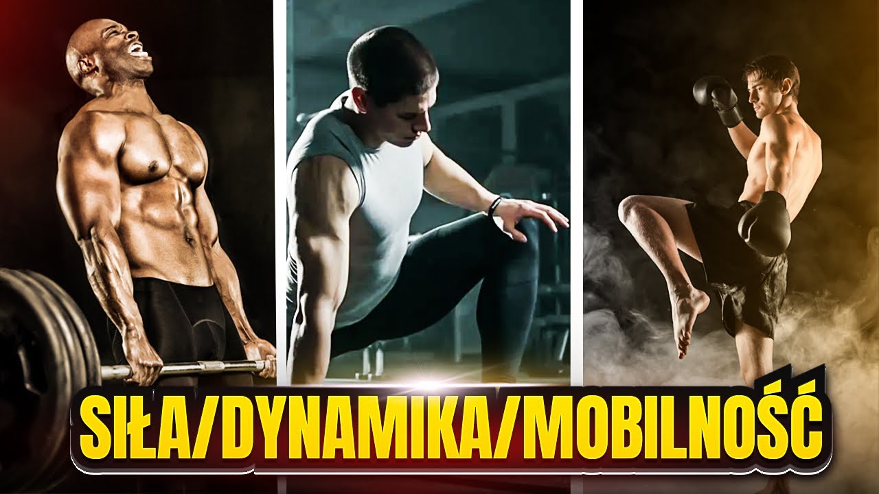 SIŁA, DYNAMIKA, MOBILNOŚĆ| co TRENOWAĆ w sportach walki?