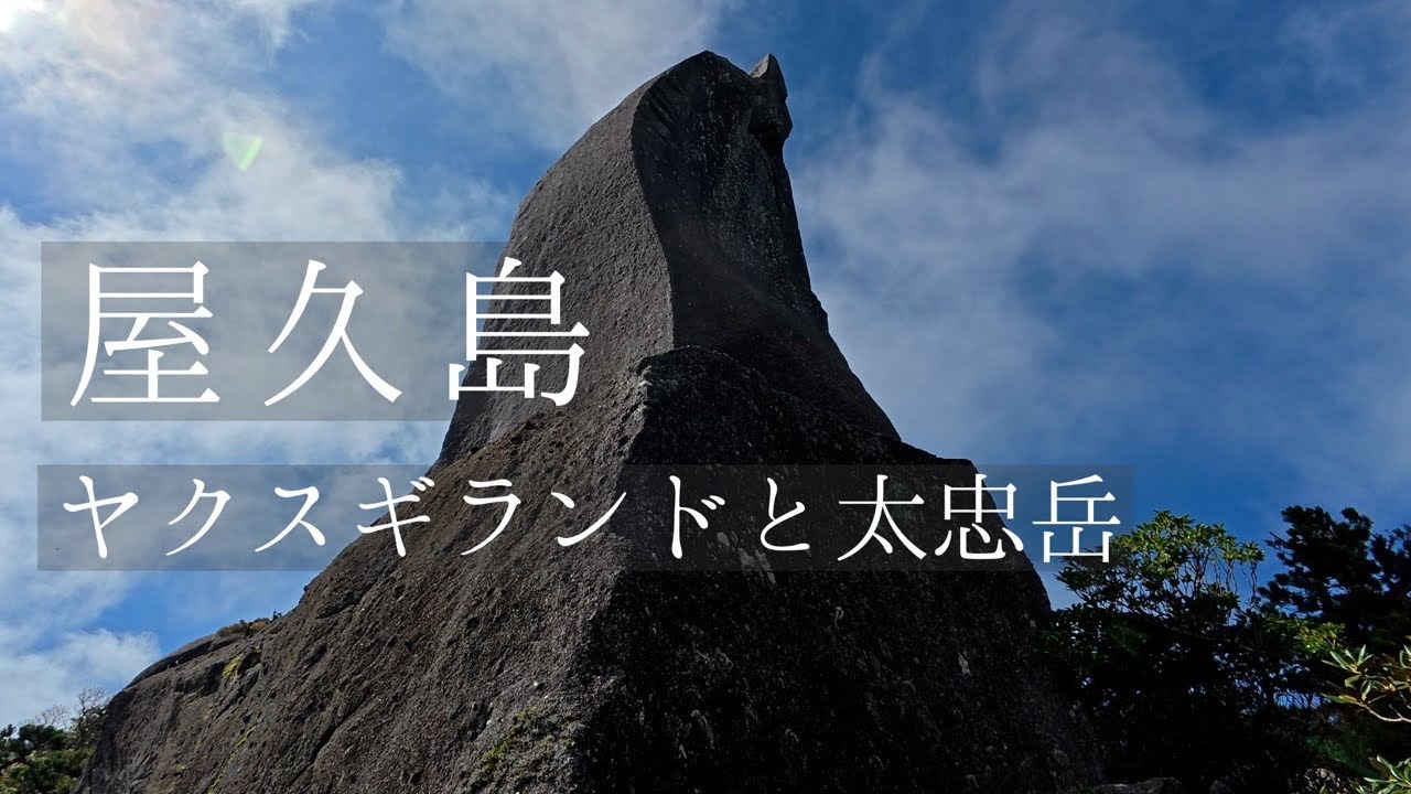 【屋久島ひとり旅】ヤクスギランドと太忠岳