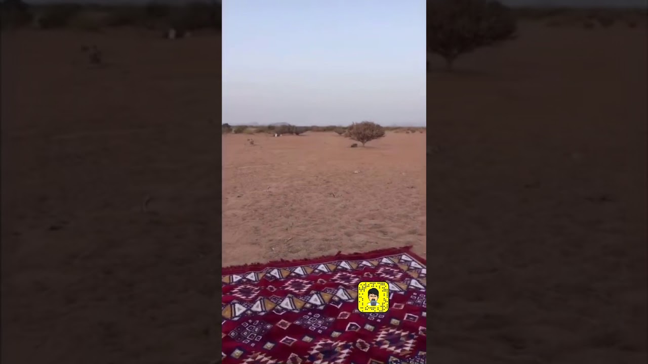 تقرير سريع عن المواقع الاثرية والتاريخية في محافظة تربة