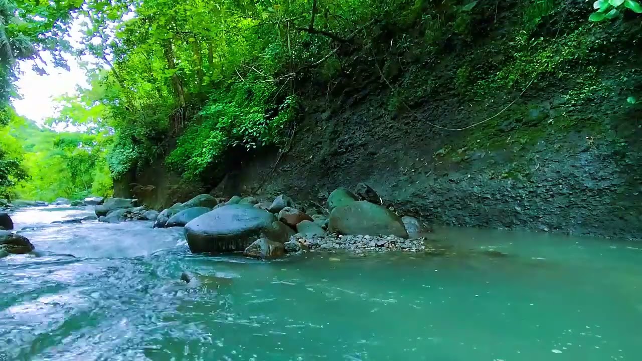 Nature's Calm - Sleep Like a Baby – This Forest Stream Sound Is a Total Game Changer - Deep Sleep