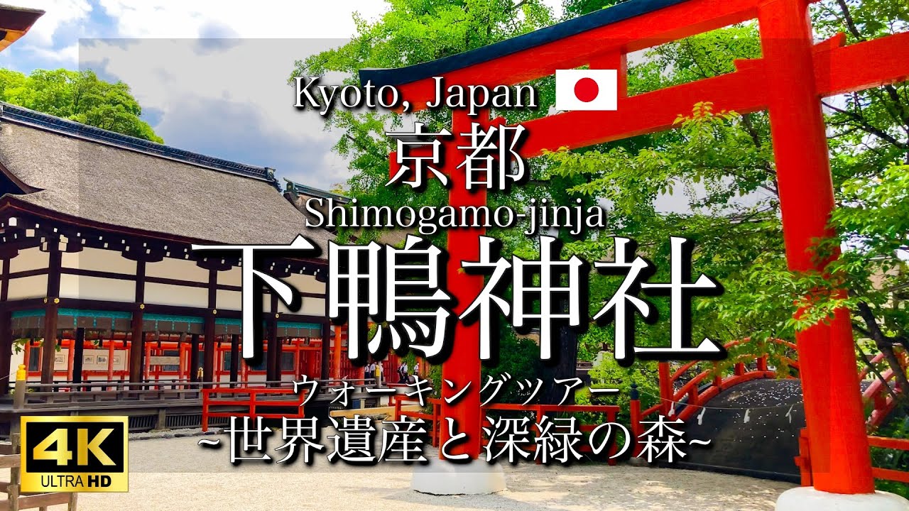 [京都|Kyoto]"下鴨神社"を観光｜世界遺産の境内と神聖な森｜"Shimogamo-jinja Shrine" Walking Tour(Vlog)[4K]