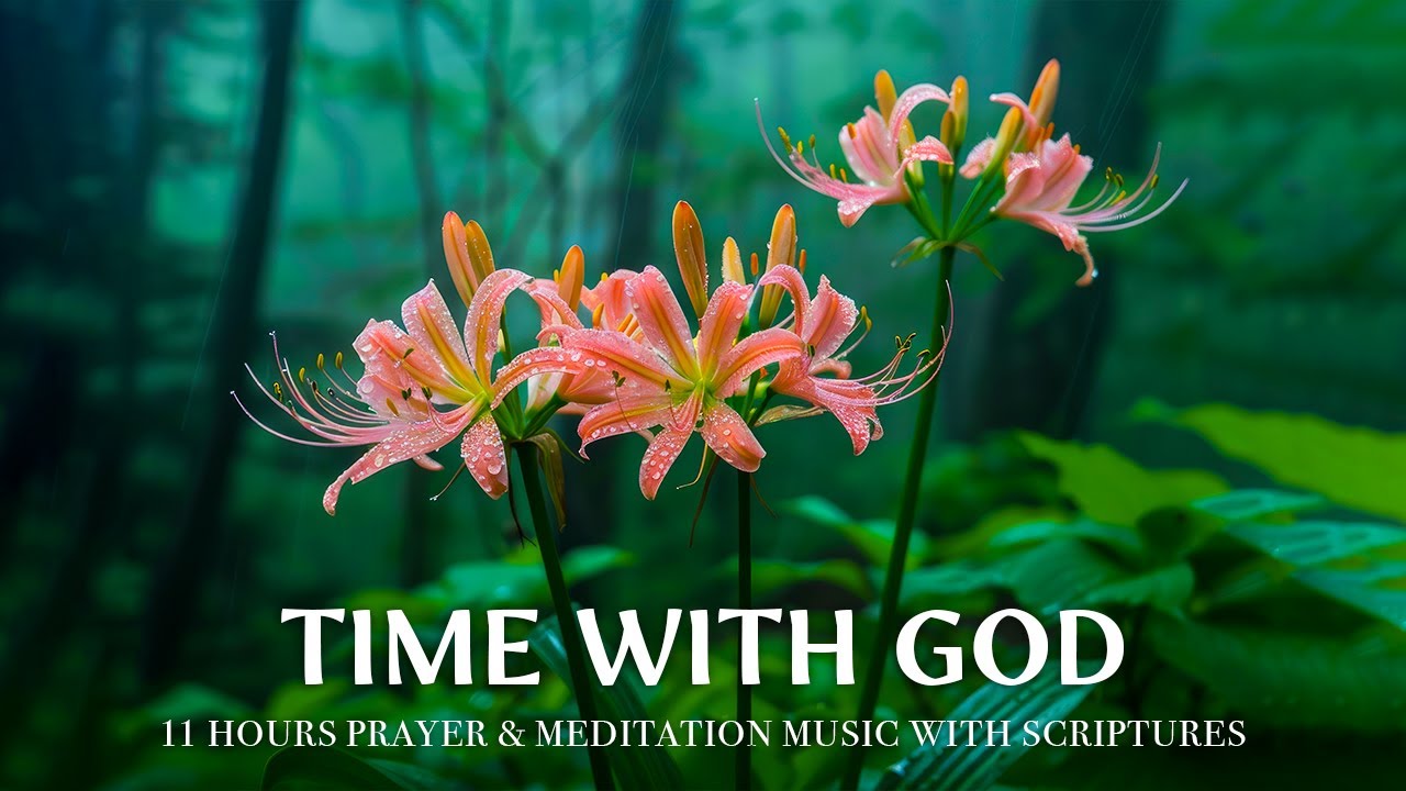 TIME WITH GOD | Peaceful Worship Piano & Uplifting Bible Verses | Christian Harmonies #84