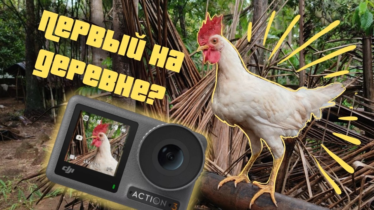DJI osmo action 3 после 6ти месяцев использования | Опыт новичка и сравнение с  DJI osmo action 4