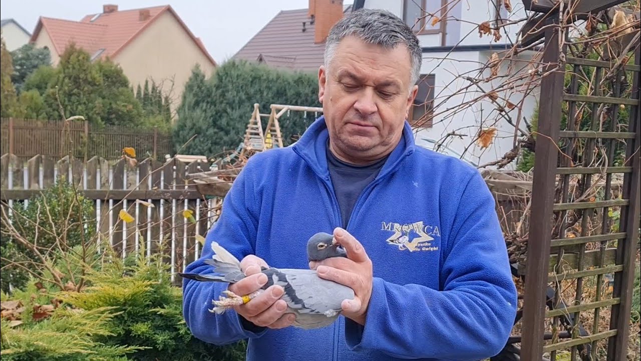 Dariusz Marciszewski - PZHGP 0176 Pińczów / Czołowy wynik w Polsce kat. Maraton 🎉👏🏆🥇🇵🇱