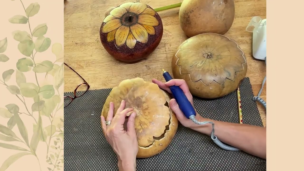 Turning a Natural Gourd Into a Zinnia Bowl | Carving the Lid – Part 1