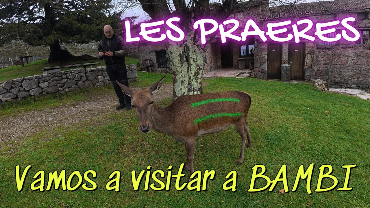 les praeres