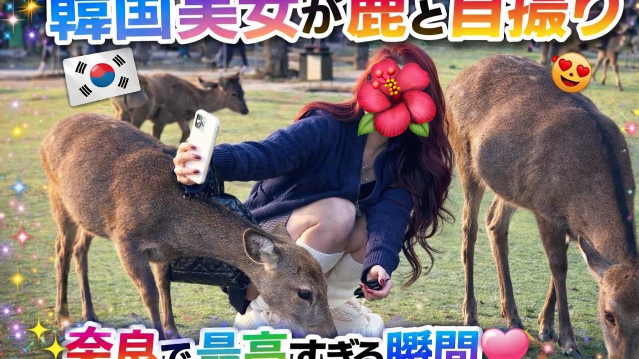 韓国美女が鹿とセルフィーを撮る🦌 | 奈良公園で話題沸騰美しい少女と鹿の素晴らしい瞬間🦌🌿👌