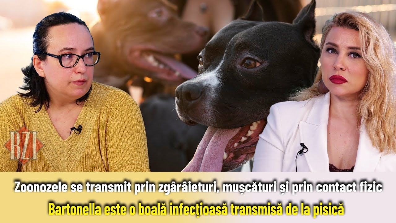 Zoonozele, riscuri ascunse și prevenție pentru cei care lucrează cu animale