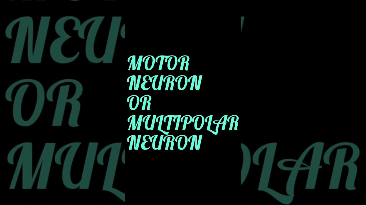#VIRAL / NEURAL CONTROL & CO-ORDINATION. Class Xl.        MOTOR NEURON, HINDI #viral  #neuron