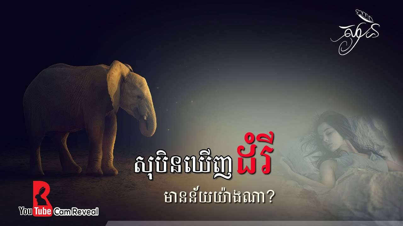 លំអិត អំពីយល់សុបិនឃើញដំរី, Elephant Dream Meaning, ទំនាយសុបិន