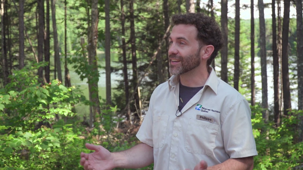 Truite à la Réserve faunique de Portneuf - Bonne Pêche Saison 24 - Épisode 4