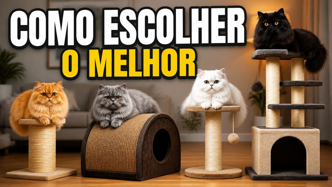 Como escolher o MELHOR arranhador para o gato - Gatil Hauser