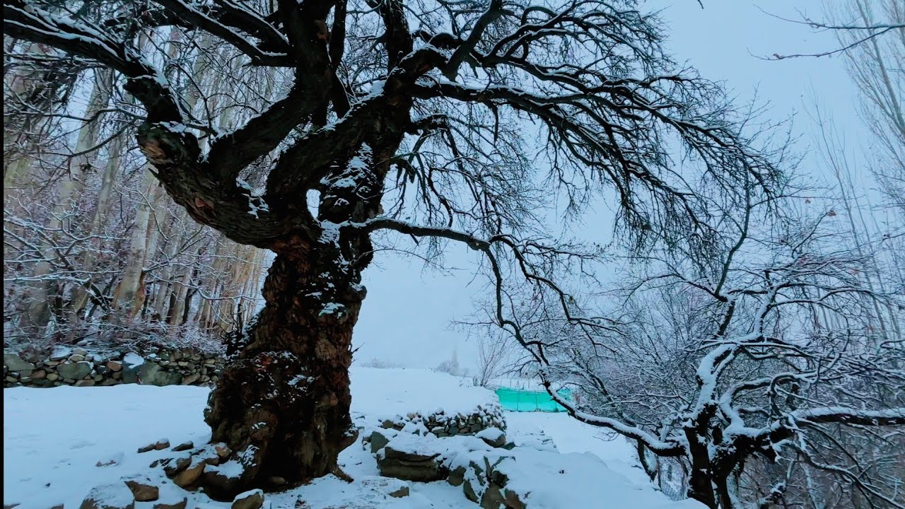 Winter in Turtuk: The Most Beautiful Place You’ve Never Seen.