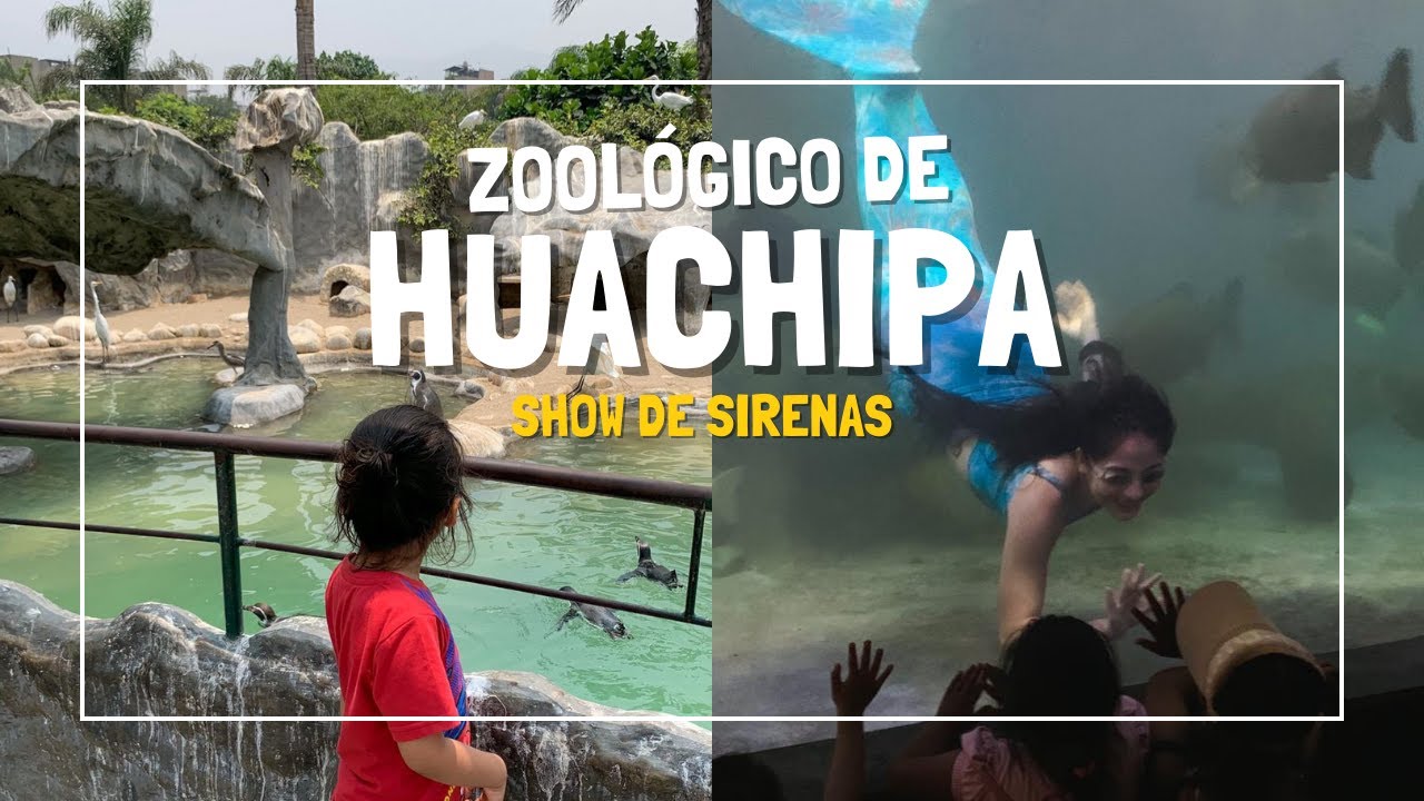SIRENAS EN LIMA 😍ZOOLÓGICO de HUACHIPA en FAMILIA 🦁 l TOUR COMPLETO con PRECIOS