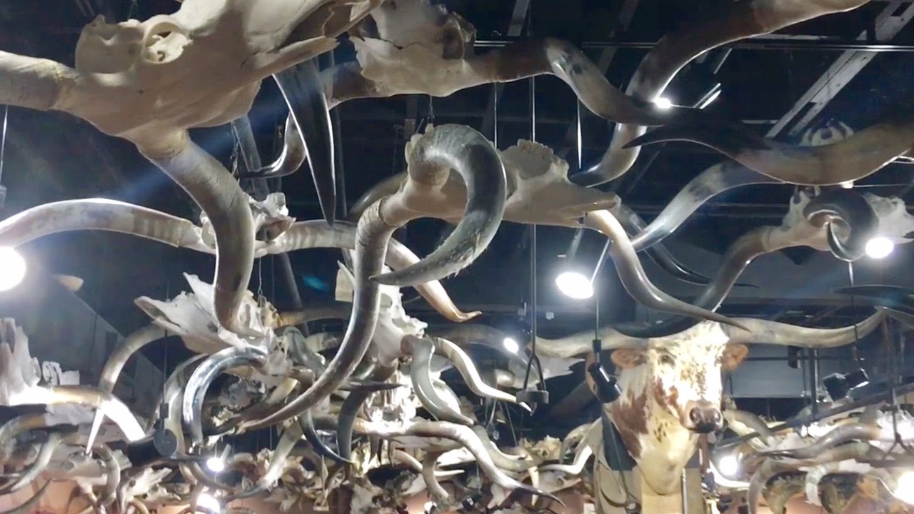 TDW 1658 - Unsettling Room Of Skulls !