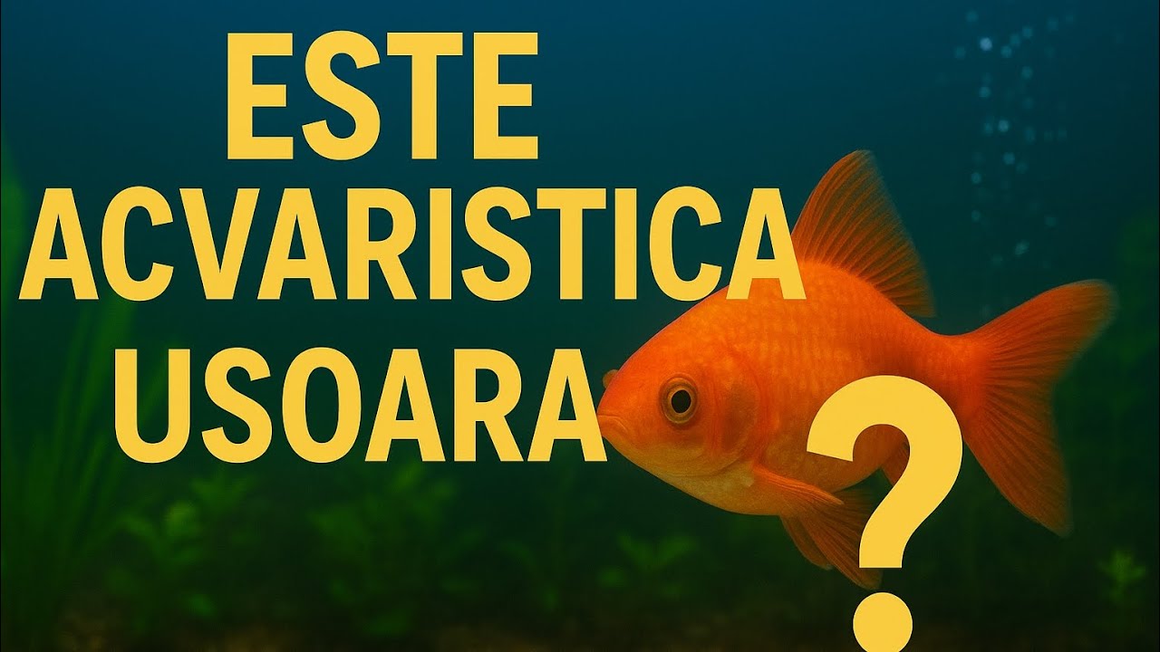 Este acvaristica un hobby ușor?