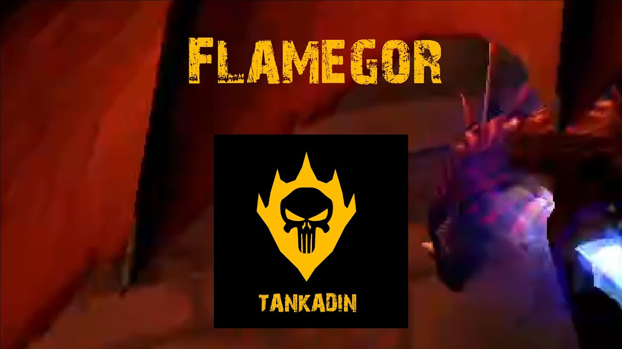 Tankadin tank Flamegore - WoW Classic