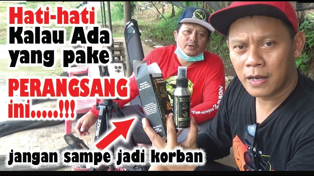 HATI-HATI ❗ KALAU ADA YANG MENGGUNAKAN PER4NGSANG INI DI EMPANG KALIAN GAK BAKAL KEBAGIAN IKAN