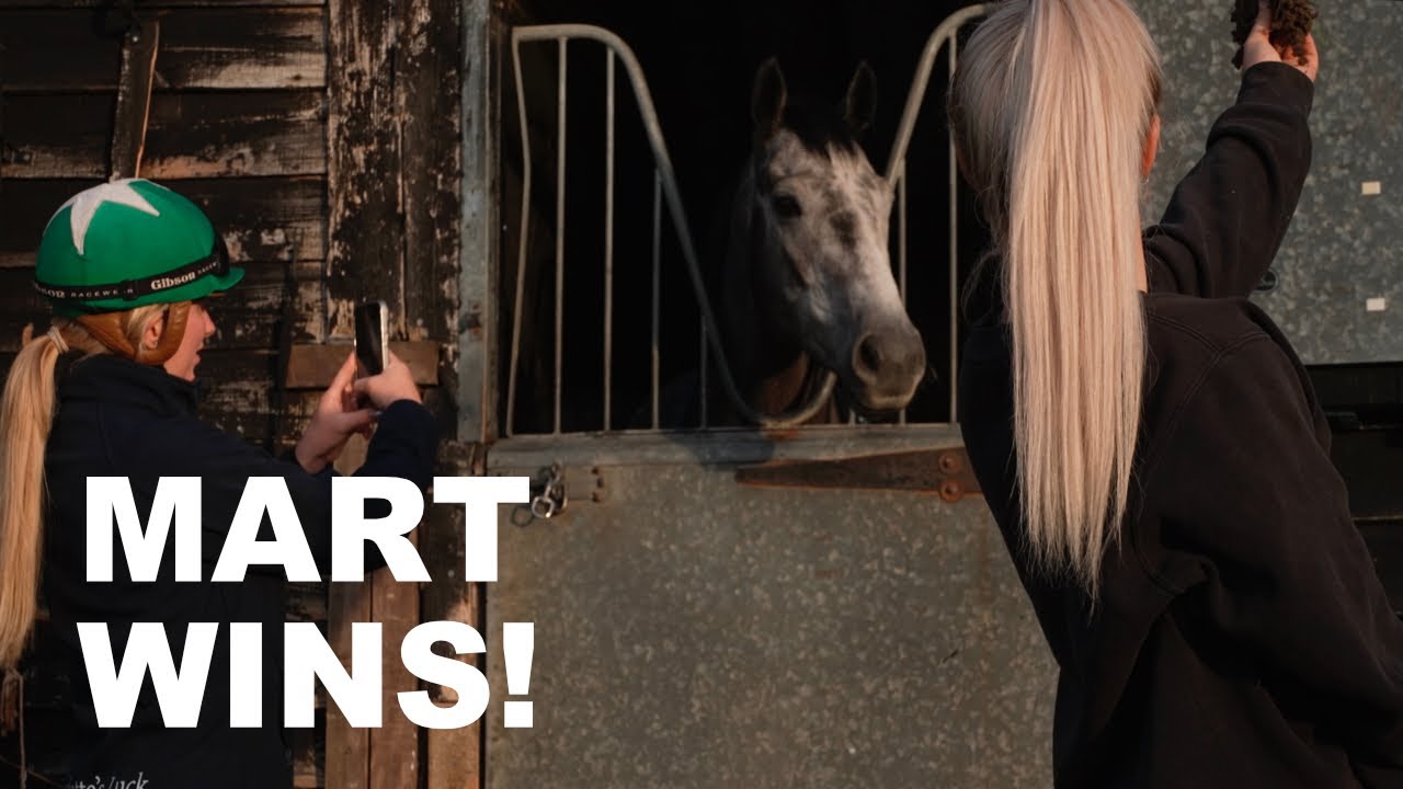 Dylan buys a horse with an exciting future.