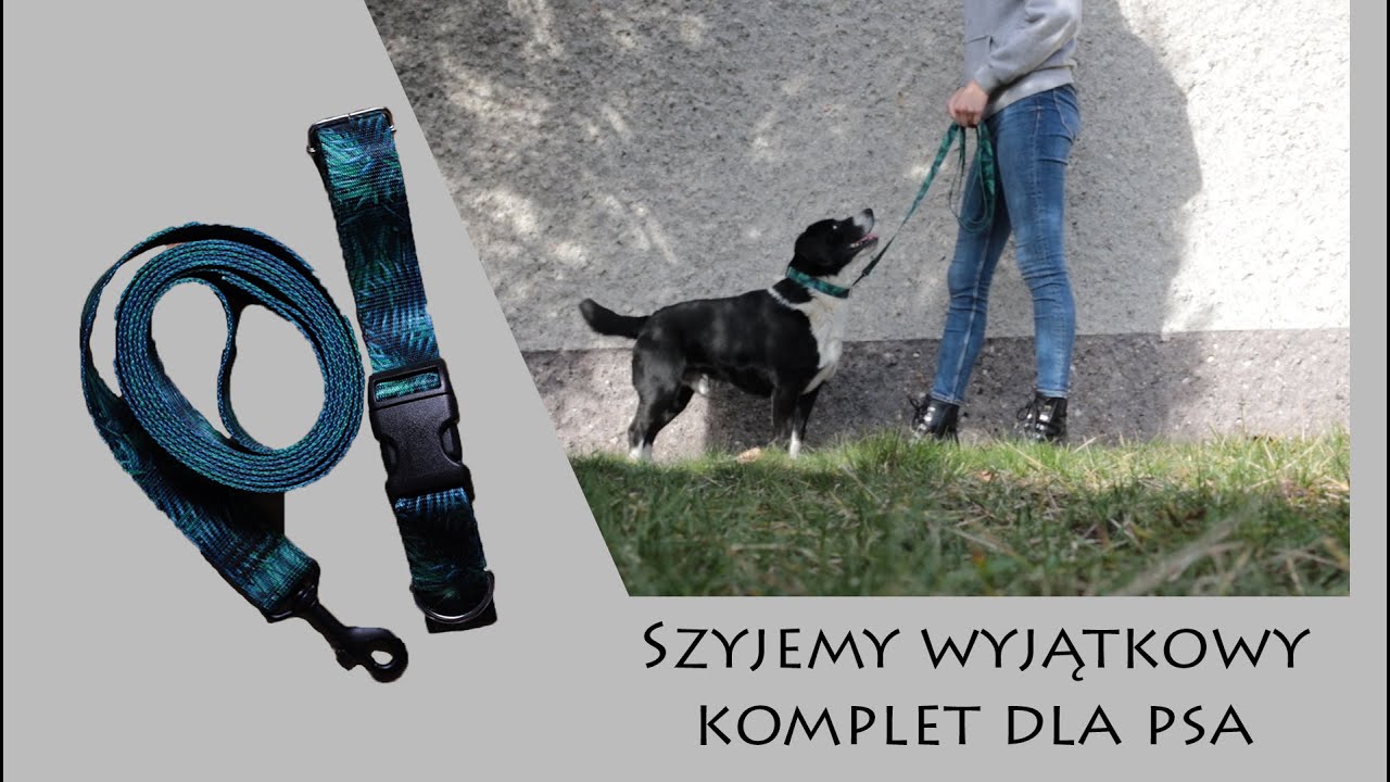 Szyjemy komplet dla psa