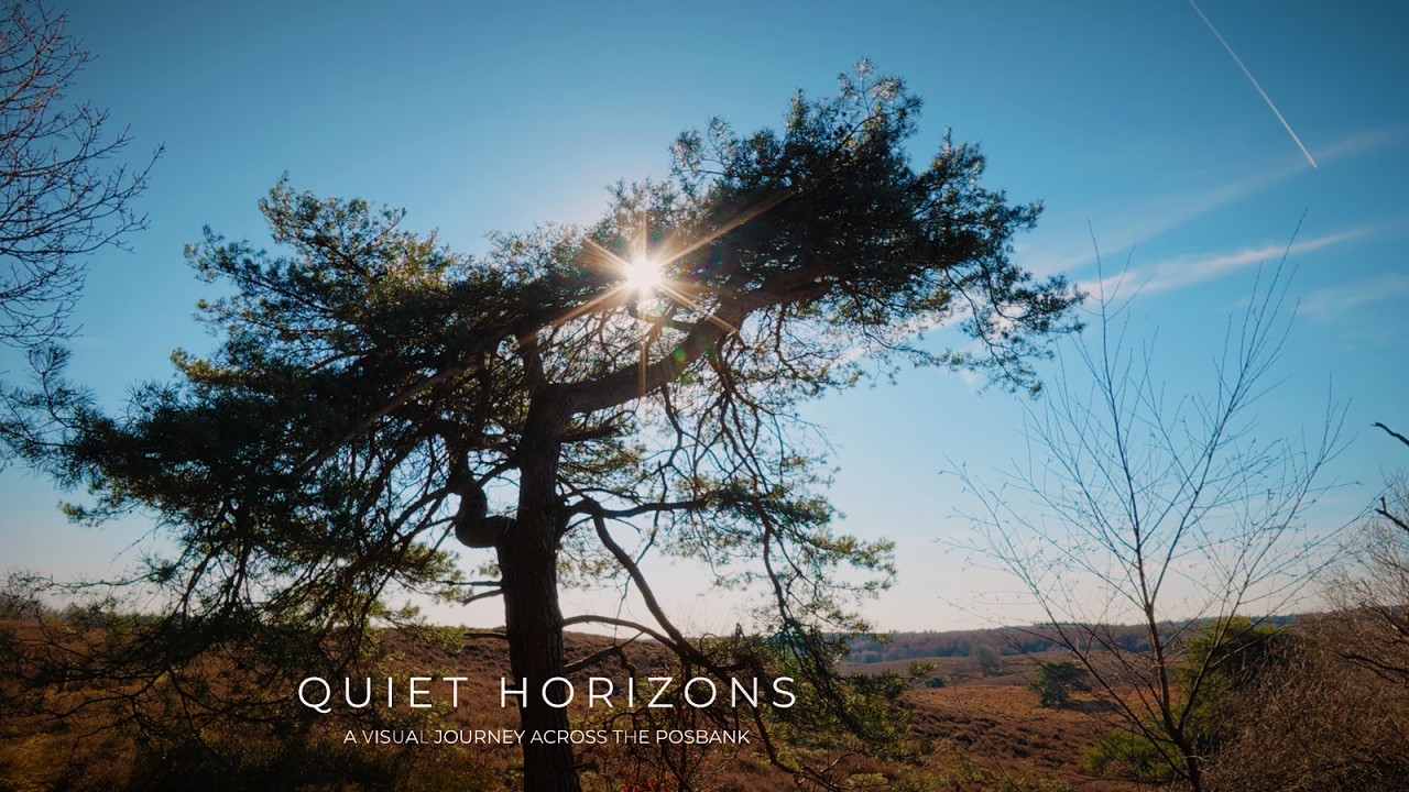 Posbank 4K Nature Walk — Cinematic Relaxation Film (Slow Cinema)