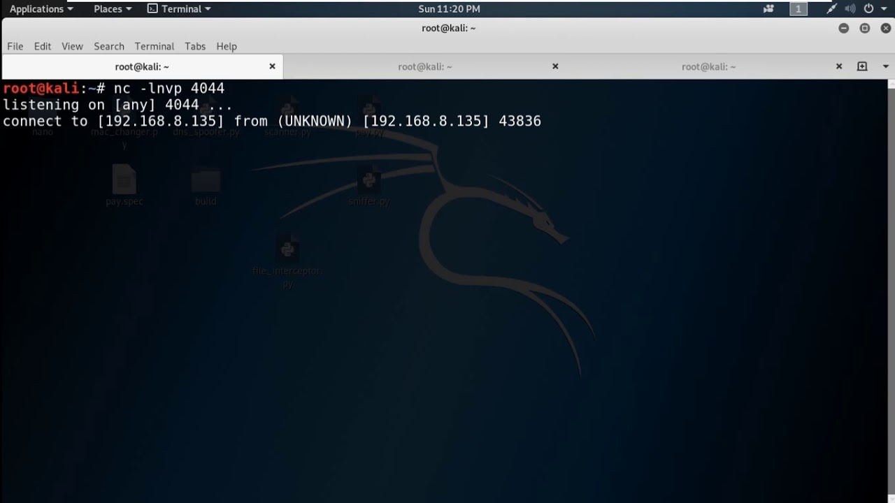 Netcat Reverse Shell