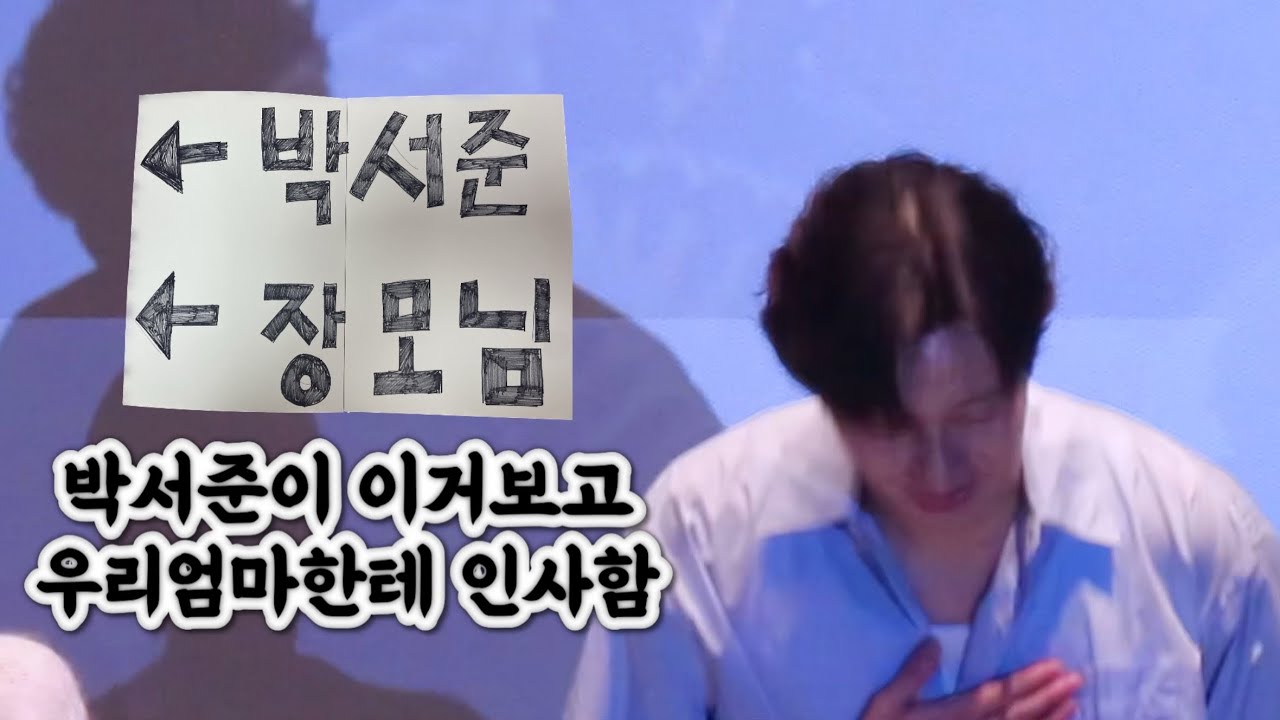 사위 장모님께 인사시켜드리기 | 영화 드림 무대인사 박서준 (fancam)