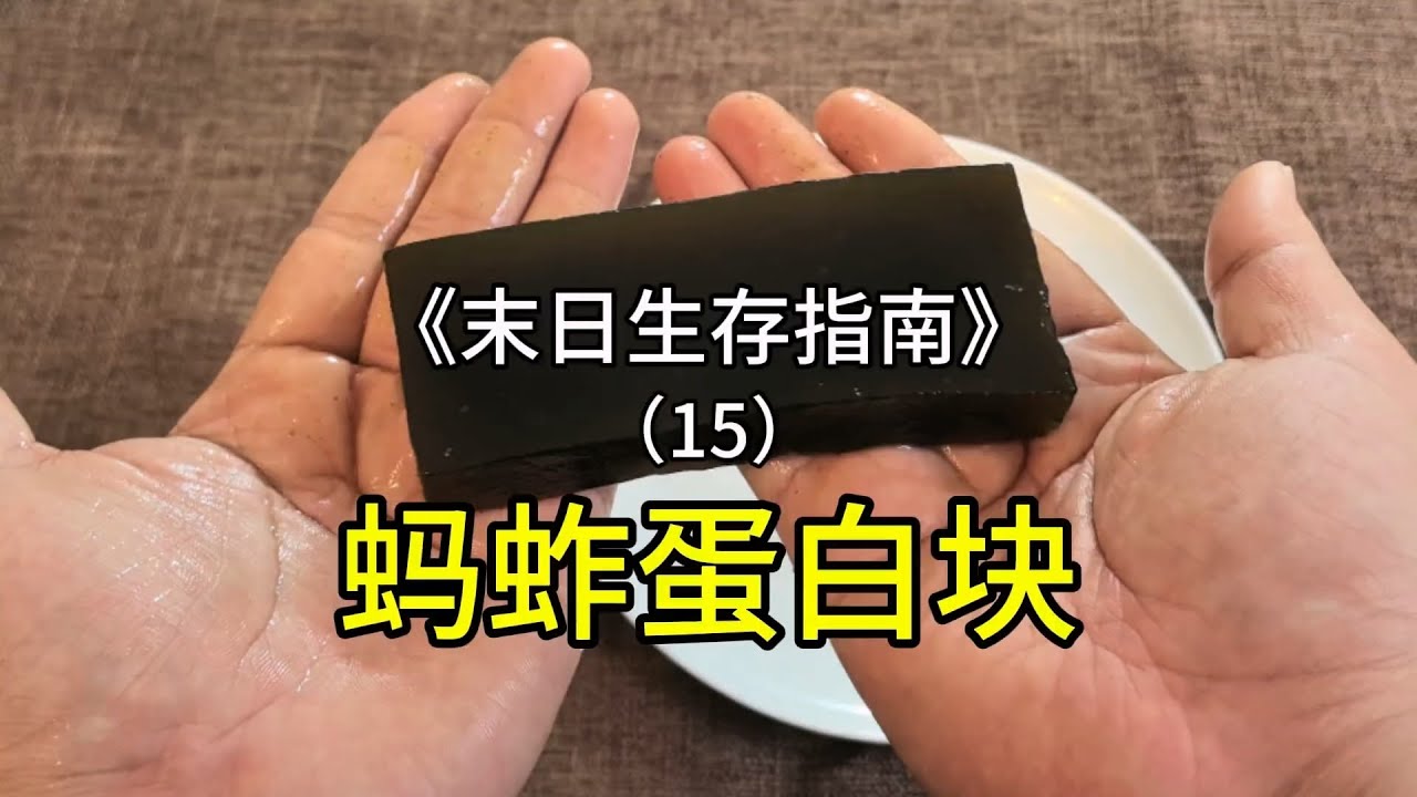 小伙用蚂蚱复刻雪国列车里的蛋白块，味道究竟如何？#室内农场 #生态循环 #沙雕日常 #黑暗料理 【刘惟与】