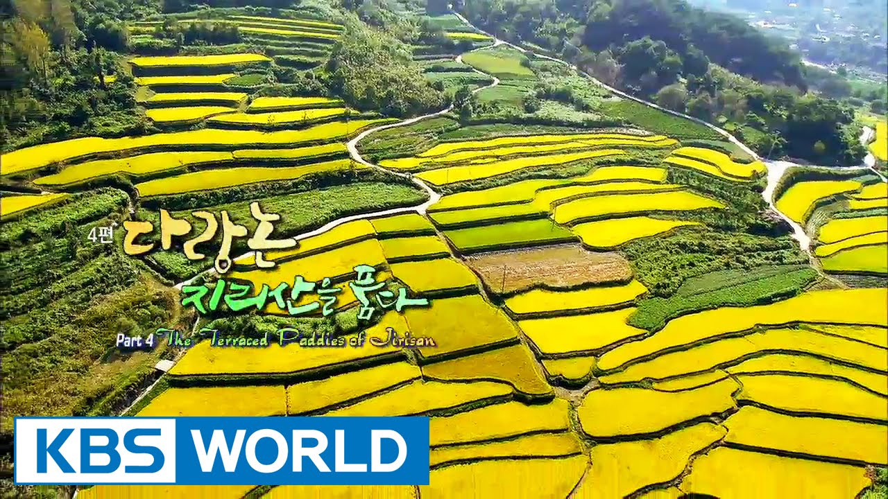 Korean Geographic | 코리언 지오그래픽 - Ep.4 : The feracel fields of Jirisan (2014.12.18)