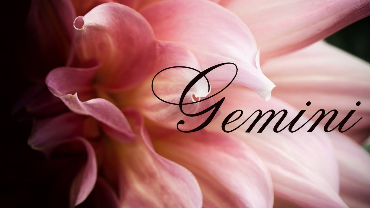 Gemini🖤What Have You Done To This Person?🌺Open & Ready For Love/Commitment🖤Energy Check-In