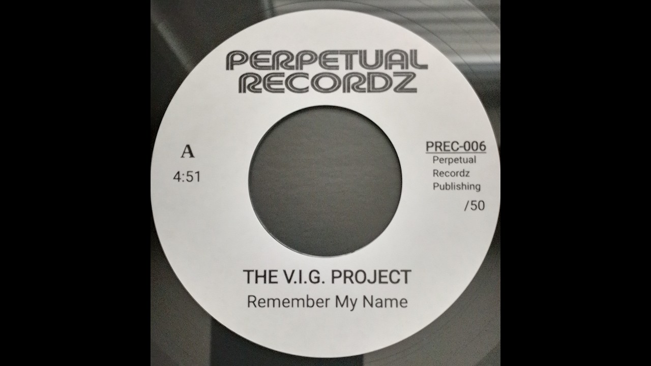 THE VIG PROJECT - Remember My Name [PERPETUAL RECORDZ]