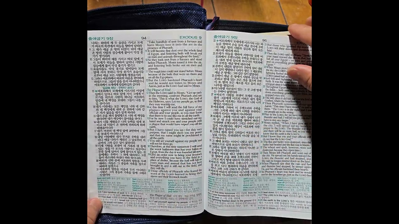 리딩지저스 성경통독 3주 2일차 - 출애굽기 7-12장