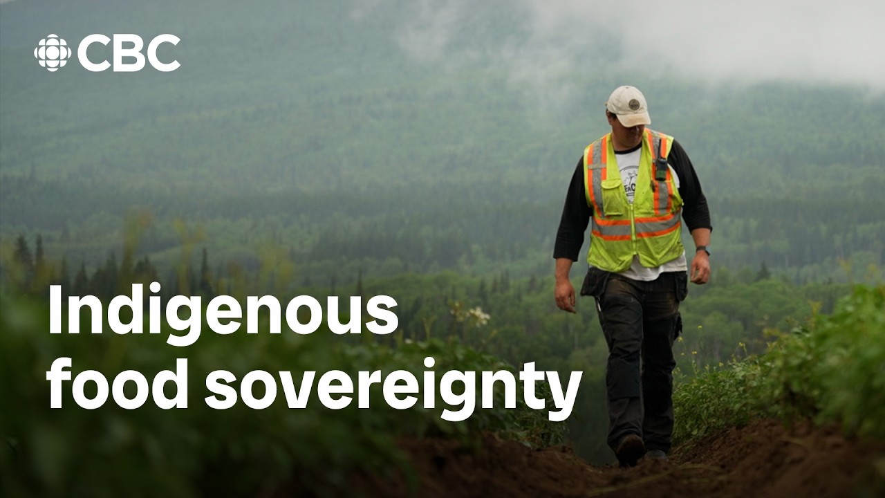 Farmers at Tea Creek grow Indigenous food sovereignty with ancient varieties of potatoes