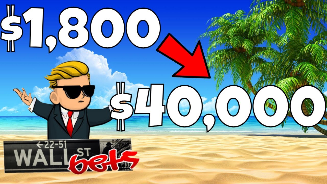 How this Trader Made $40,000 off a $1800 Investment | WallStreetBets Trades with MVIS GME