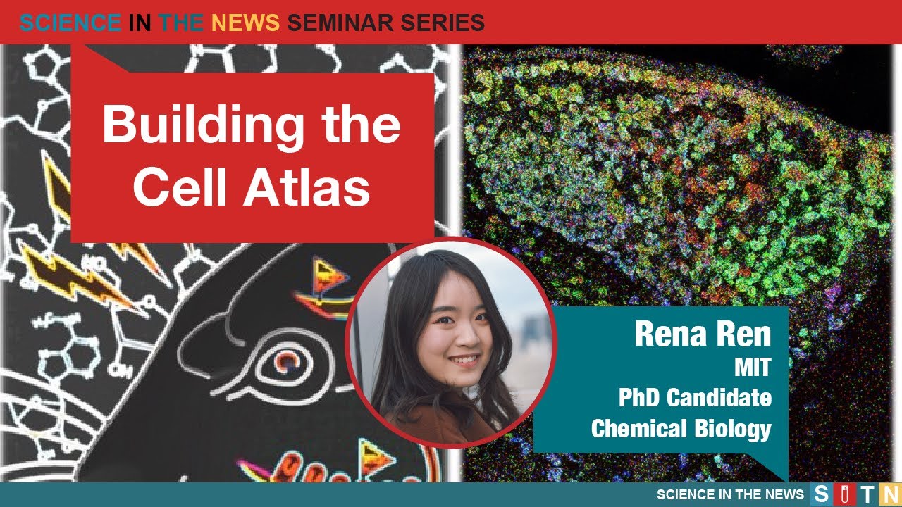 Building the Cell Atlas: Understanding the Spatial Landscape of Cells in the Brain