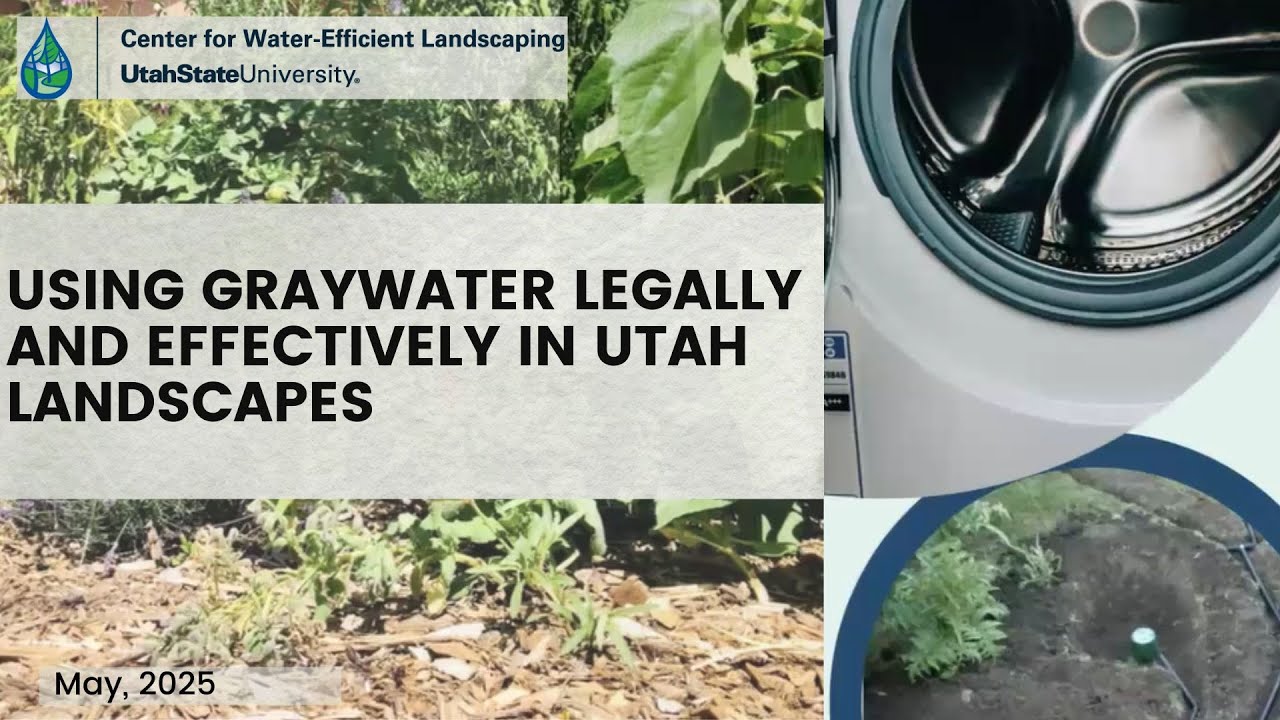 Using Greywater Legally and Effectively in Utah Landscapes