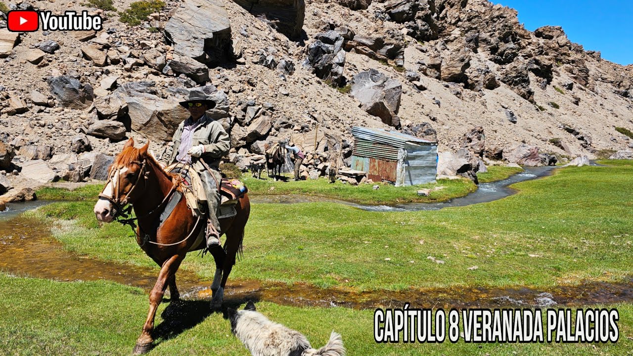 Arrieros Laguna del Maule capítulo 8 Trashumancia Arrieros Cordillera de los Andes Chile Caballos CA